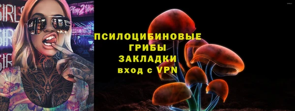 спиды Киреевск
