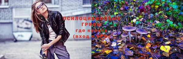 спиды Киреевск