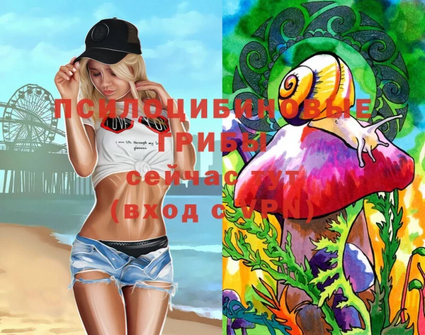 ECSTASY Кинешма